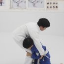 팀루츠 이미지