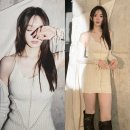 미S라인