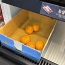 명륜진사갈비현동점 | 수원 인계동 고기집 무한리필 명륜진사갈비 만족 후기 (가격, 메뉴, 샐러드바)