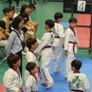 사계절푸른솔 태권도 이미지