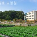 나원호요양원 | 김포요양원 나원호 요양원 시설과 분위기 실제 방문후기
