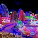 연못들2 이미지