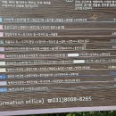 궁내다리길 Daum카페