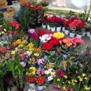 모란5일장 이미지