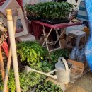 성부농장 이미지