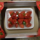 찬수농장 이미지