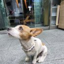 서강염소탕한우갈비살 이미지