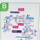 용인운전면허시험장 이미지