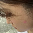 신림5빗물펌프장 | [ 신림계곡 ] 뚜벅이 여자들의 물놀이 / 서울 계곡 / 와인 앤 치킨 / 황토길 체험 / 동묘 말랑이 성지...