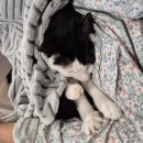 충무2차아파트 202동 놀이터 | 잘가 2025, 어서와 2026🤗