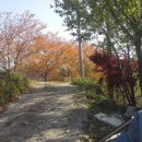 마라농장 이미지