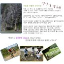 6월 정기산행 강원 정선 덕산기 계곡 트레킹 이미지