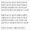 이승호선배님께서 기나긴 쏠로를청산하시다 이미지