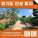 안성명품공인중개사사무소 | 경기도 안성 토지 급매 매매 5700여평 명당터 수목포함 이건 사셔야 합니다!