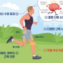 대흥헬스 이미지