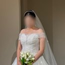 [W4] 광주 브라이덜 헤미쉬 드레스 초이스 후기 (스트레이트 체형, 금액대 다양, 추가금 공유)