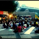 꽃다지 맞은편 이미지