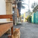 신월중경로당 이미지