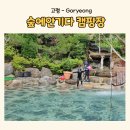 고령 숲에안기다 수영장 계곡 대구근교캠핑장의 특별함