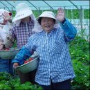 갑이농장 이미지