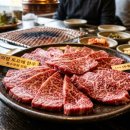 정육혈통