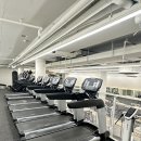 크레이지독스짐 이미지