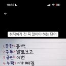 취직하기 전 꼭 알아야 하는 단어래 이미지
