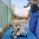 옥천동물병원 이미지