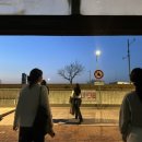 요가라이프 이미지