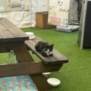 진선미어린이집 | 부산 고기맛집 연산동 고짚 회식장소 구워주는곳 주차 가격