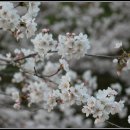 의령 보천사지 승탑 이미지