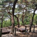 소나무집 민박 이미지