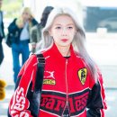 다미 이미지