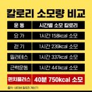 송정 복싱 이미지
