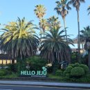 제주 자고가 이미지
