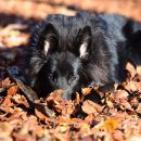 아름다운 반복 이미지