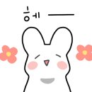 와플대학분당서현로데오캠퍼스