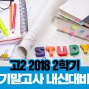 새움교육미디어