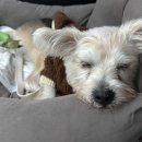 경산카랜드 이미지