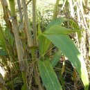 황골농장 이미지