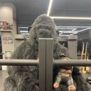 고릴라짐 광교2호점 이미지