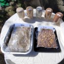 옛소농장 이미지