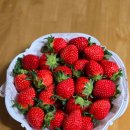 대세2농장 이미지