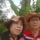 진흥세탁 이미지