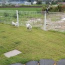 함께놀개 이미지