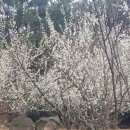 보담애월 이미지