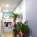 청수검도관 이미지