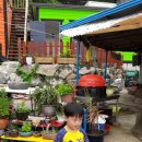 일환네백숙 이미지