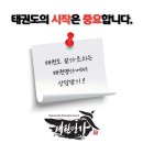 태권명가 태권도장 이미지