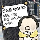 [디지털 마케터 취업준비] 도와세움 디마에 77기_ 6주차_1::제품 1차 촬영/ 저관여상품_스토리보드